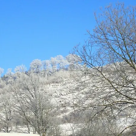 Beautiful Near The Area *