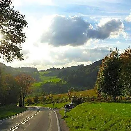 In Nahe Winterberg 아파트 *