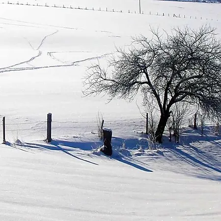 In Nahe Winterberg 슈말렌부르크