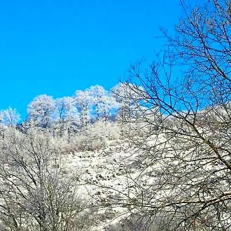 아파트 In Nahe Winterberg 슈말렌부르크